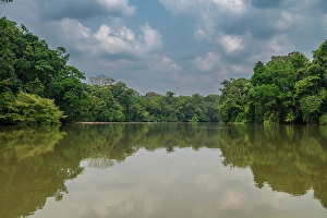 Sangha Prints: Sangha River in the Trinational Lobeke National Park, Republic of Congo