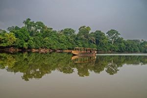 Experiences Prints: Sangha River in the Trinational Lobeke National Park, Republic of Congo