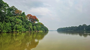 Stillness Prints: Sangha River in the Trinational Lobeke National Park, Republic of Congo