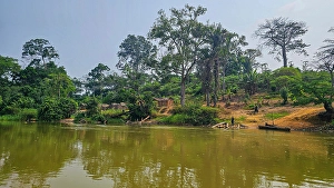 Huts Prints: Sangha River in the Trinational Lobeke National Park, Republic of Congo