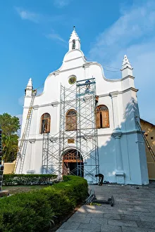 Hedge Prints: Santa Cruz Cathedral Basilica, Kochi, Kerala, India, Asia
