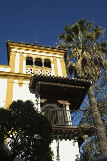 Santa Cruz district