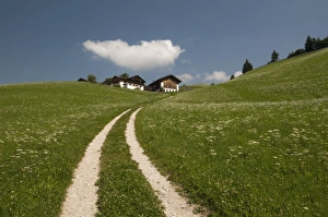 Images Dated 22nd July 2009: Santa Maddalena, Funes Valley (Villnoss), Dolomites, Trentino Alto Adige