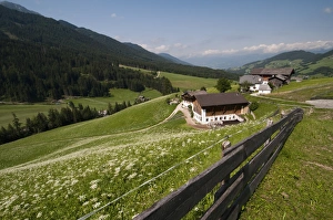 Images Dated 22nd July 2009: Santa Maddalena, Funes Valley (Villnoss), Dolomites, Trentino Alto Adige