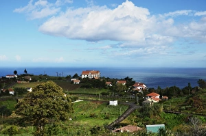 Images Dated 20th December 2010: Santana, Madeira, Portugal, Atlantic Ocean, Europe