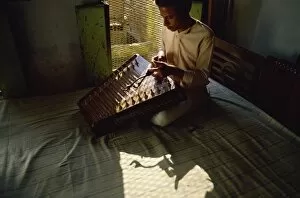 Santoor player, India, Asia
