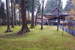 Images Dated 22nd November 2009: Sanzen in temple dating from 986, Kyoto, Japan, Asia