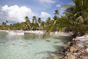 Saona Island, Dominican Republic, West Indies, Caribbean, Central America