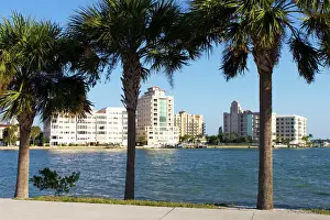 Florida Prints: Sarasota, Gulf Coast, Florida, United States of America, North America