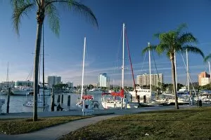 Images Dated 29th August 2008: Sarasota Marina from Island Park