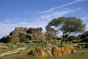 Sarcidano region