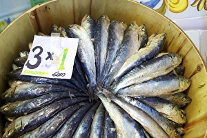 Typically Spanish Gallery: Sardines in Mercado Central (Central Market), Valencia, Spain, Europe