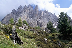 Alto Adige Prints: Sassolungo range