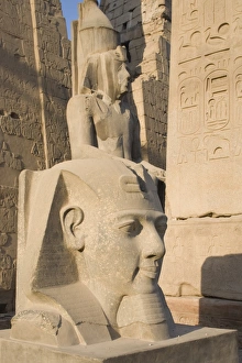 Ramesses Ii Prints: Satue of the pharaoh Ramesses II (Ramses the Great), Luxor Temple, Luxor