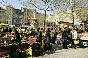 Aude Prints: Saturday market, Ville Basse, Carcassonne, Aude, Languedoc, France, Europe