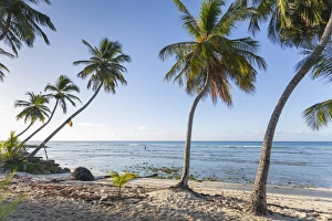 Savannah Beach, Bridgetown, Christ Church, Barbados, West Indies, Caribbean, Central
