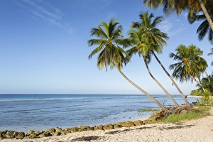 Barbados Prints: Savannah Beach, Bridgetown, Christ Church, Barbados, West Indies, Caribbean, Central