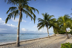 Barbados Prints: Savannah Beach, Savannah, Bridgetown, Christ Church, Barbados, West Indies, Caribbean