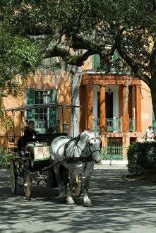 Images Dated 11th January 2000: Savannah, Georgia