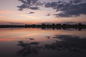 Images Dated 31st May 2009: Savute Channel, Linyanti, Botswana, Africa