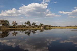 Images Dated 31st May 2009: Savute Channel, Linyanti, Botswana, Africa
