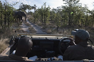 Images Dated 31st May 2009: Savute Channel, Linyanti, Botswana, Africa