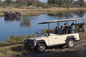 Images Dated 1st June 2009: Savute Channel, Linyanti, Botswana, Africa