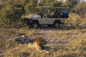 Images Dated 1st June 2009: Savute Channel, Linyanti, Botswana, Africa