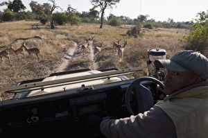 Images Dated 1st June 2009: Savute Channel, Linyanti, Botswana, Africa