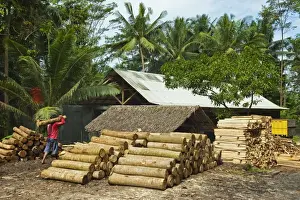 Lumber Prints: Sawn tree trunks at lumber yard in this rural district near Pangandaran on the south coast
