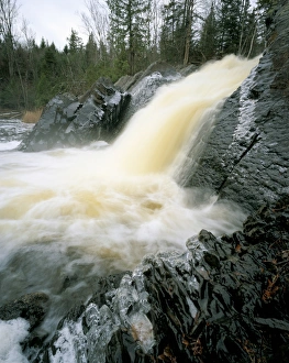 North East Prints: Sawtelle Falls