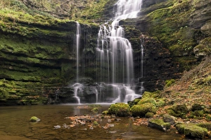 Images Dated 18th October 2009: Scaleber Force (Foss Waterfall) near Settle, North Yorkshire, Yorkshire, England, United Kingdom