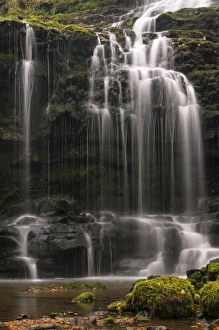 Images Dated 18th October 2009: Scaleber Force (Foss Waterfall) near Settle, North Yorkshire, Yorkshire, England, United Kingdom