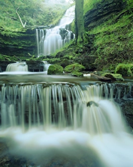 Scalebor Force, near Skipton, North Yorkshire, England