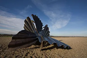 Suffolk Prints: Scallop Sculpture by Maggi Hambling, Aldeburgh, Suffolk, England, United Kingdom, Europe