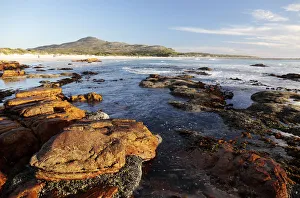 Scarborough Beach, Cape Penisula, near Cape Town, South Africa, Africa