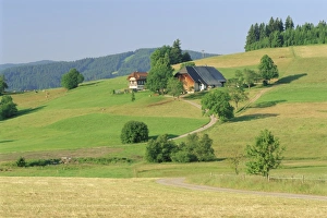 Schwarzwald Prints: Scene in the Black Forest (Schwarzwald)