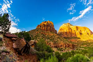 Shrub Prints: Scenery along the Canyon Overlook Trail, Zion National Park, Utah