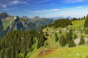 Jungfrau Prints: Scenery of cogwheel railway, Schynige Platte