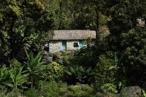 Santo Prints: Scenery in the lush oasis of the Paul Valley, northern Saint Anthony, Cape Verde