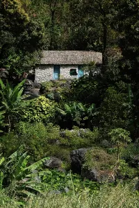 Verde Prints: Scenery in the lush oasis of the Paul Valley, northern Saint Anthony, Cape Verde
