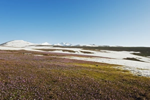 Armenia Prints: Scenery on the slopes of Mount Aragats
