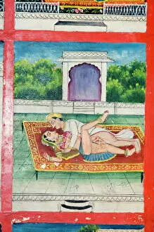 Images Dated 16th January 2000: Scenes from the Kama Sutra from cupboard in the Juna Mahal fort