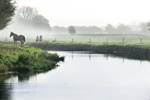 North Brabant Prints: Scenic with mist, horse and two people cycling next to River Mark in autumn