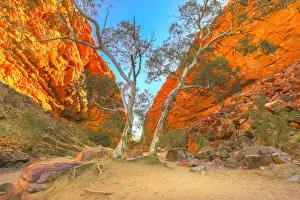 Northern Territory Prints: Scenic Simpsons Gap and permanent vegetation in West MacDonnell Ranges, near Alice