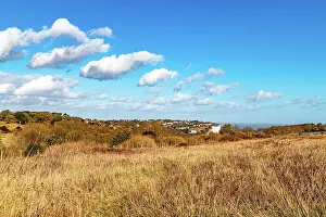 Digital Prints: Scenic view of a dry grassland with scattered bushes under a blue sky with fluffy clouds