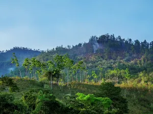 Ecosystems Prints: Scenic view of the hills of Lanquin with various trees during daytime in Guatemala