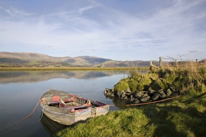 Rowing Boat Prints: Scenic view with old rowing boat moored on bank in