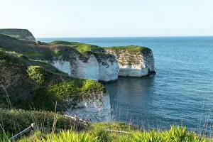 White Cliffs Prints: Scenic view of white chalk cliffs with lush greenery overlooking a calm blue sea