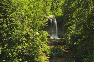 Scheidegg Waterfalls Nature Park, Scheidegg, Bavaria, Germany, Europe